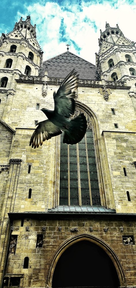 Photograph by Ако