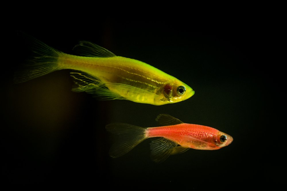 Photograph by Ясинский Юрий