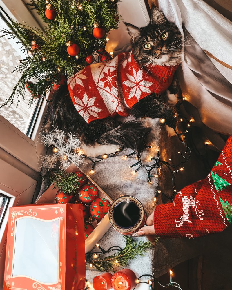 Photograph by Екатерина Фурсова