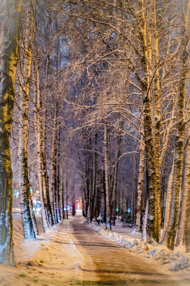 Photograph by Ольга Сафронова