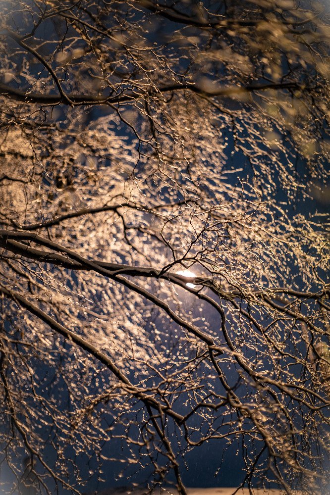 Photograph by Ольга Сафронова