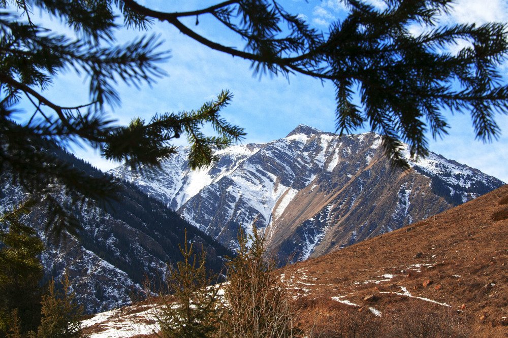 Photograph by Алёна Деревнина