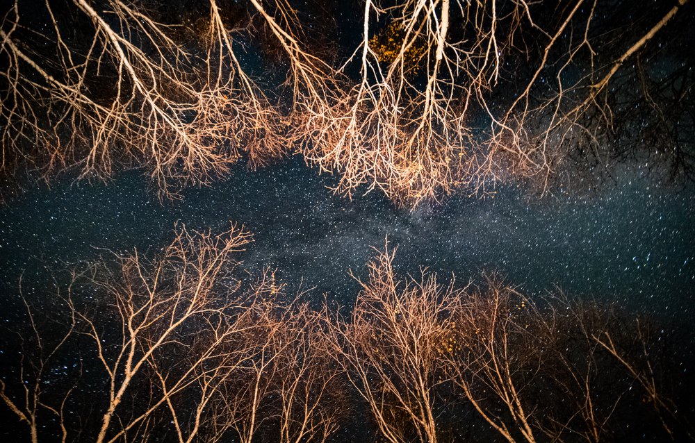 Фотография автора Антон Сандалов