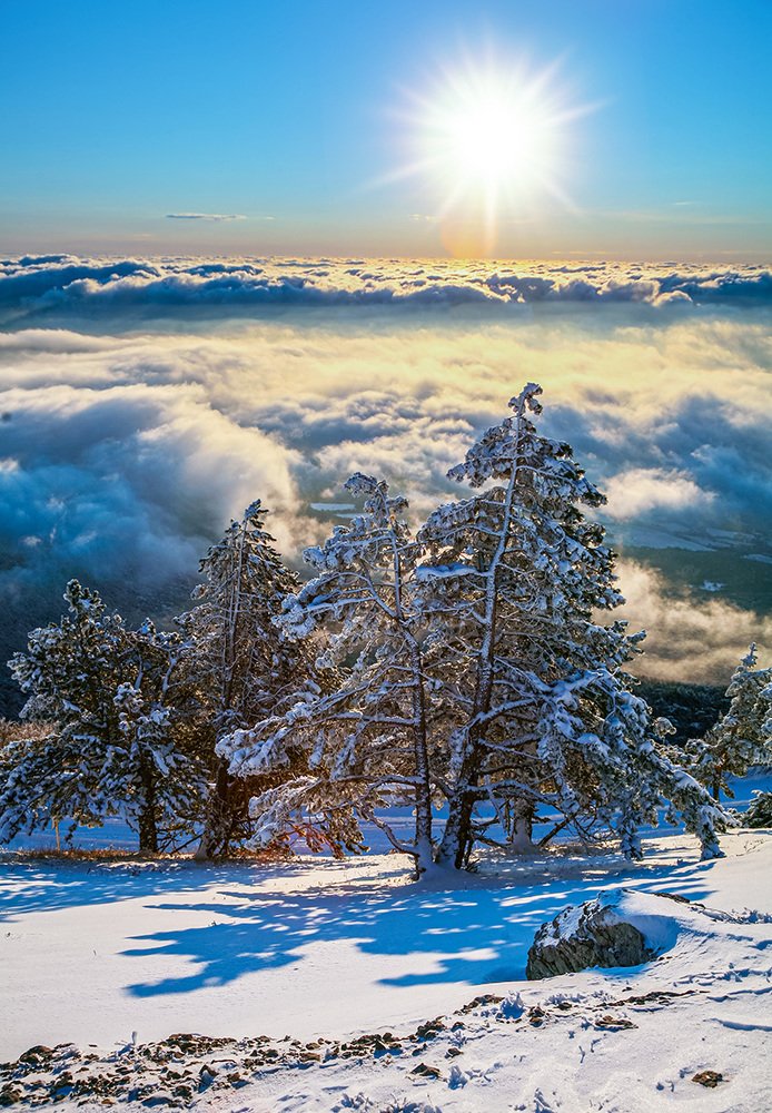 Photograph by Валентин Волков