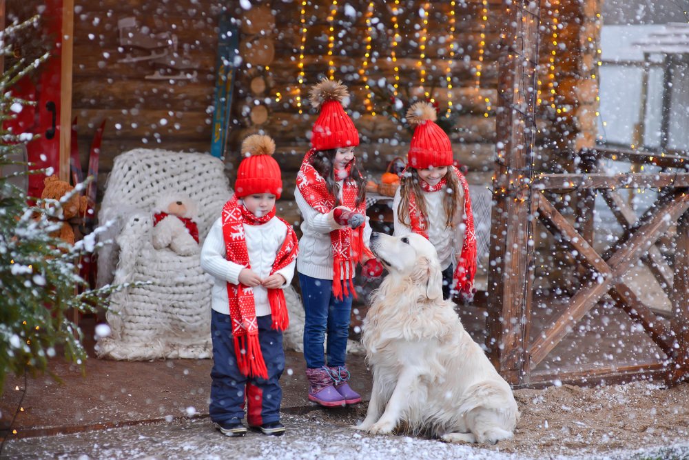 Photograph by Оксана Холод