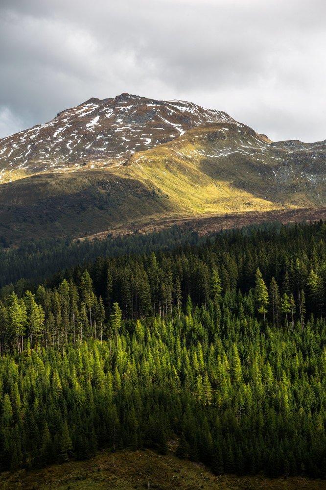 Photograph by Наталия Пронина