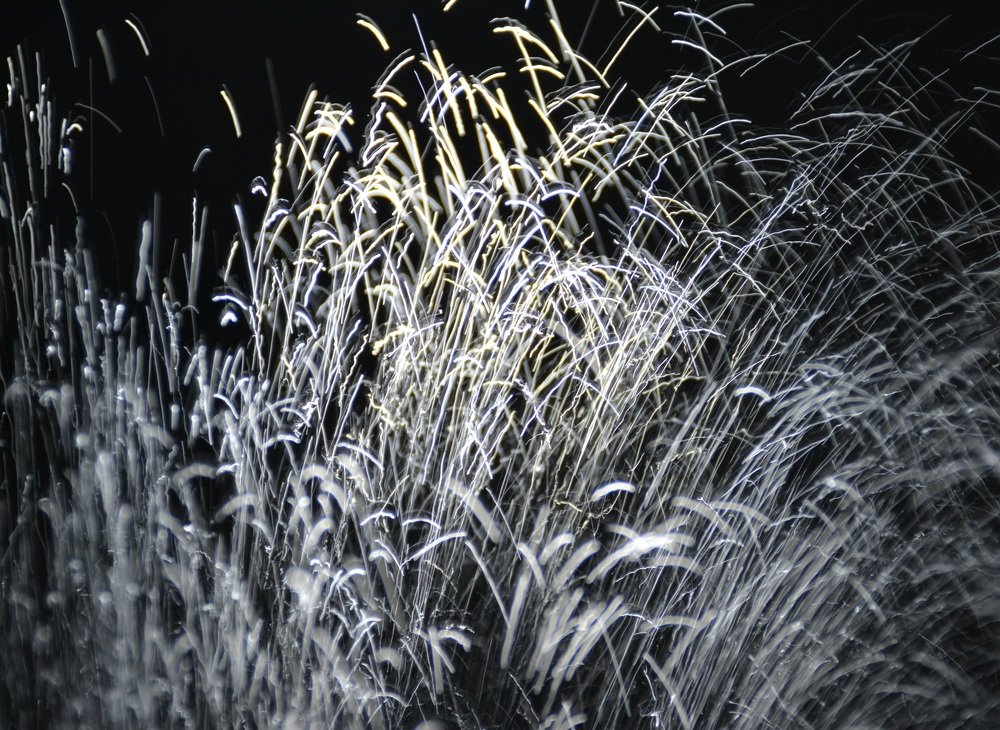 Photograph by Anna Prohorova