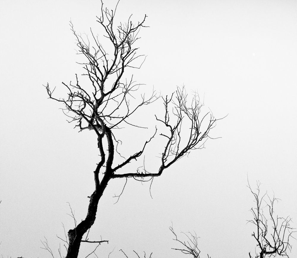 Photograph by Noora HT