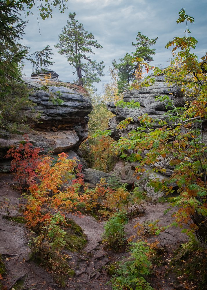 Photograph by Евгений Кузнецов