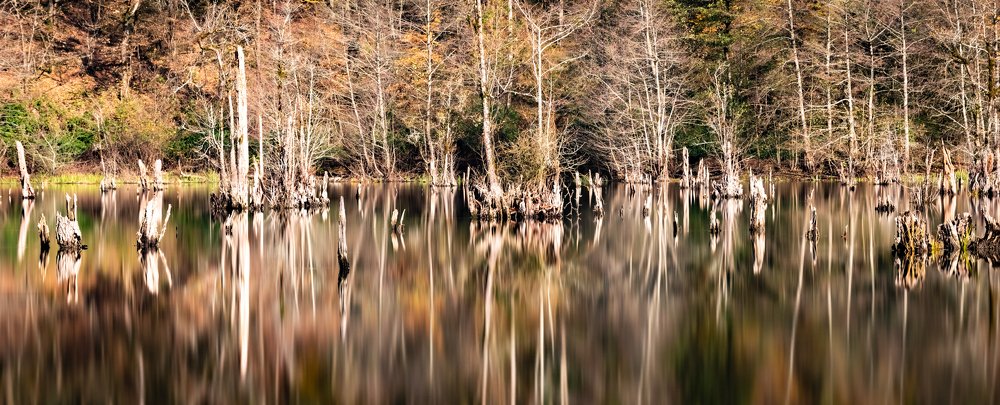 Photograph by Vahid Sabet