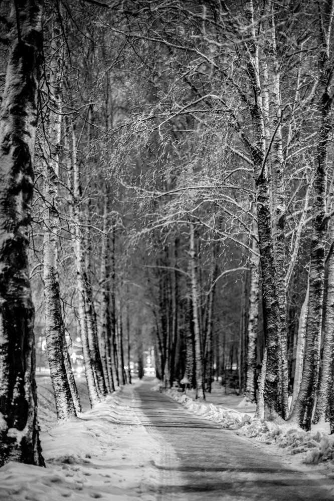 Photograph by Ольга Сафронова