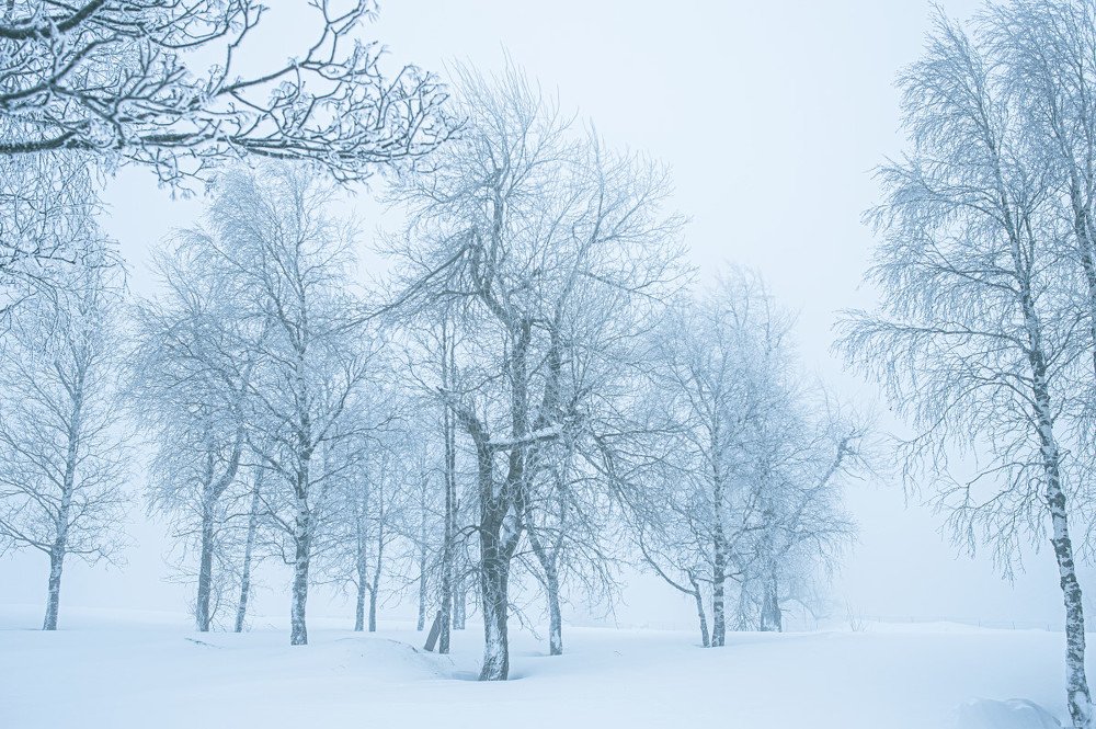 Photograph by Екатерина Корчик