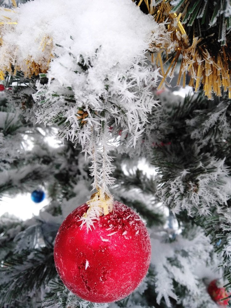 Photograph by Ольга Карабулина