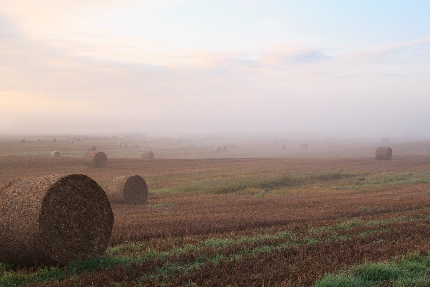 Photo #5465112