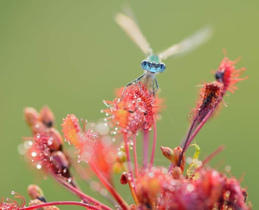 Photograph by ruurd visser