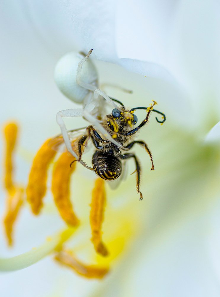 Photograph by Vasily Zhivitsa