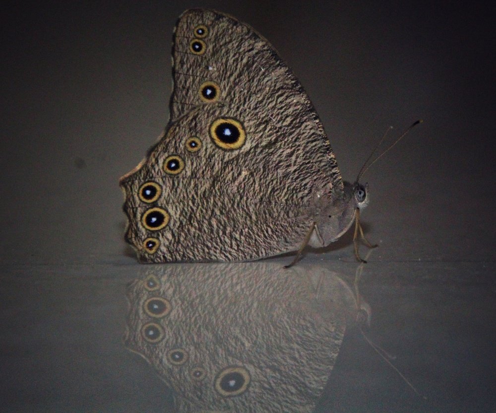 Photograph by Kapilesh Gujarathi