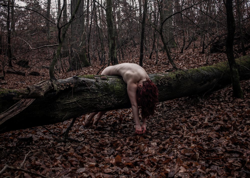 Photograph by Wojciech Grzegorczyk