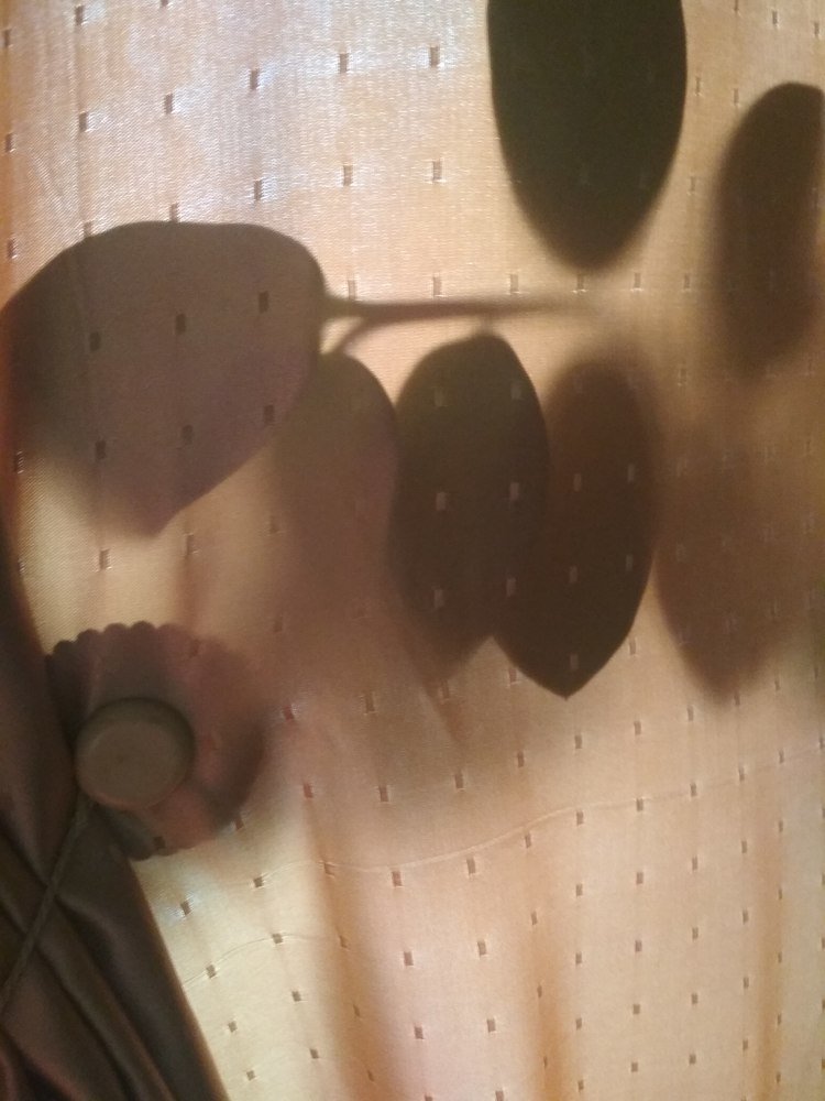 Что скрывает портьера ?