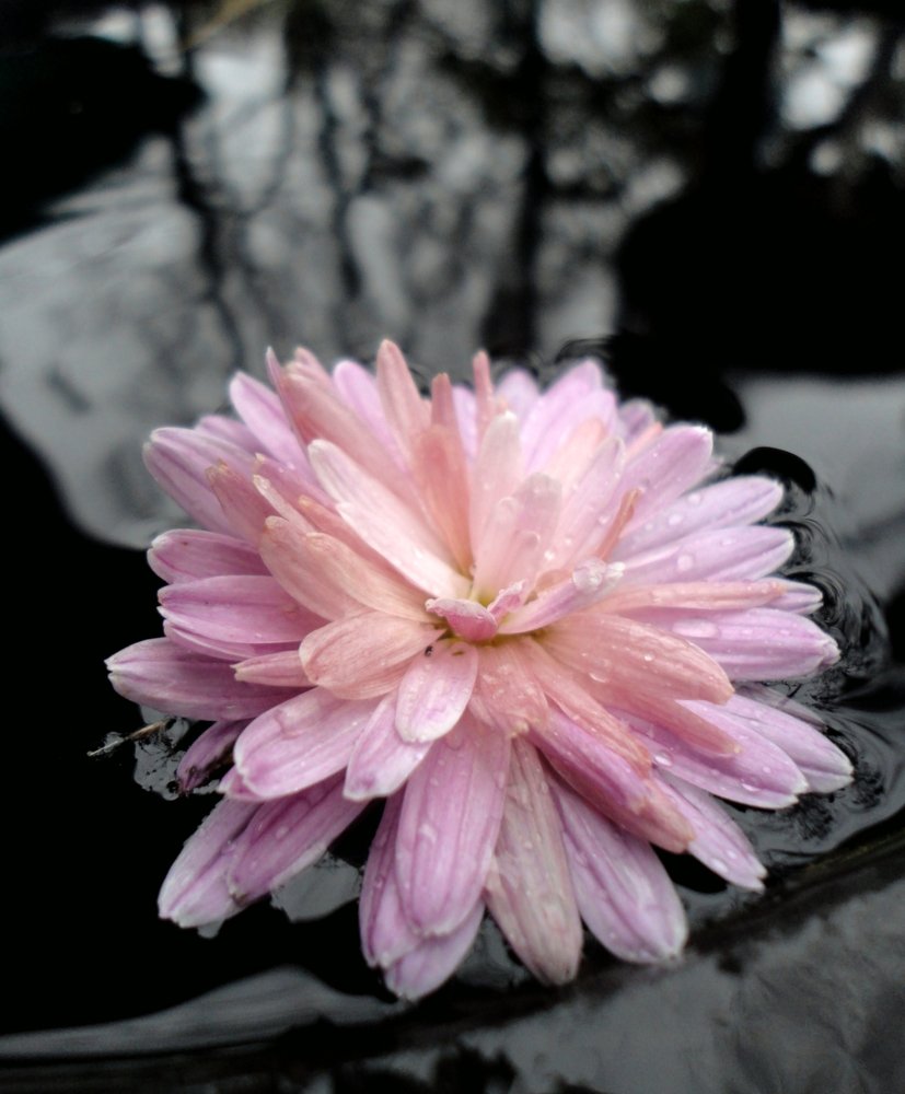 Краски осени