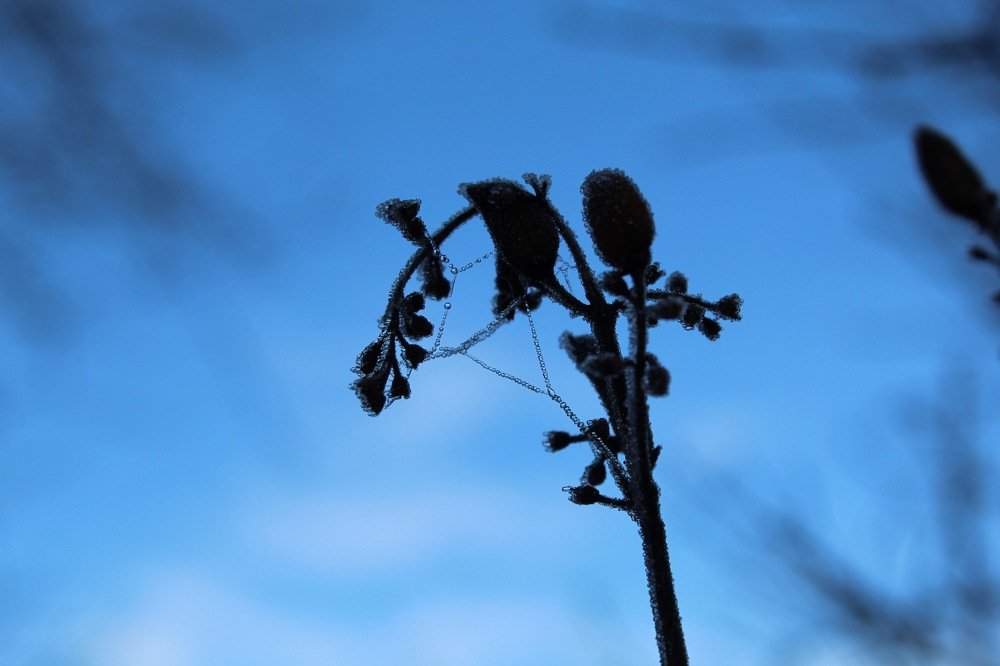 Фотография автора Наталія Савка