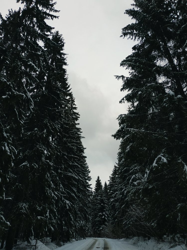 Фотография автора Максим Батурин