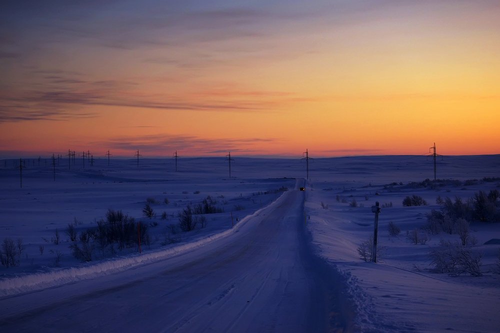 Зимняя тундра