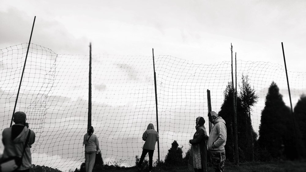 Фотография автора Saptaparna Mukherjee