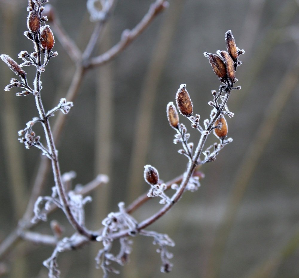Фотография автора Наталія Савка