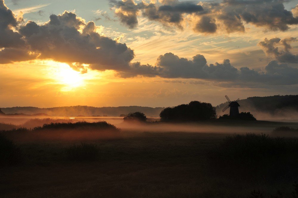 Photograph by 