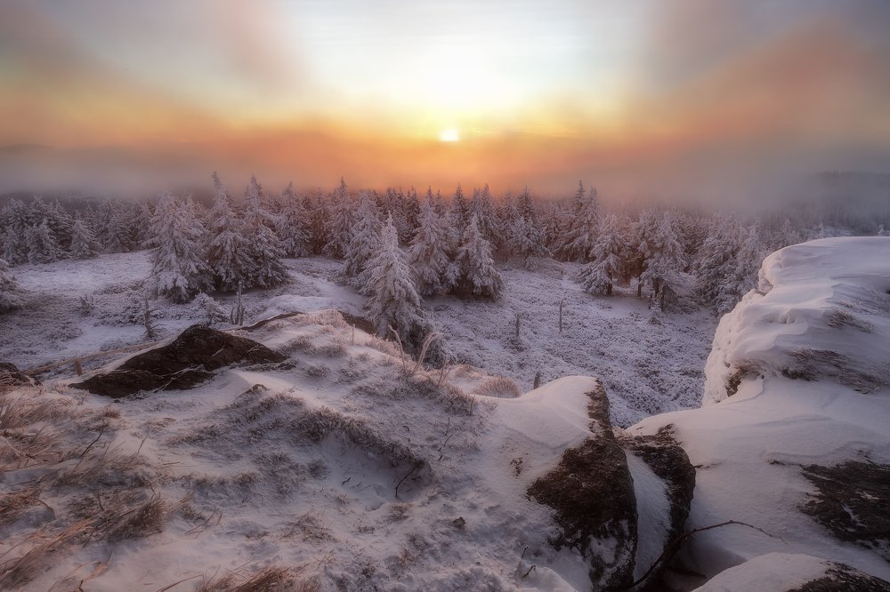 Photograph by Tom Kráčmar