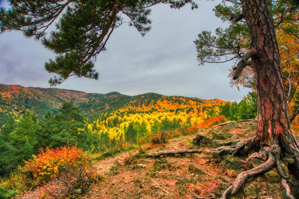 Photograph by Александр Пургин