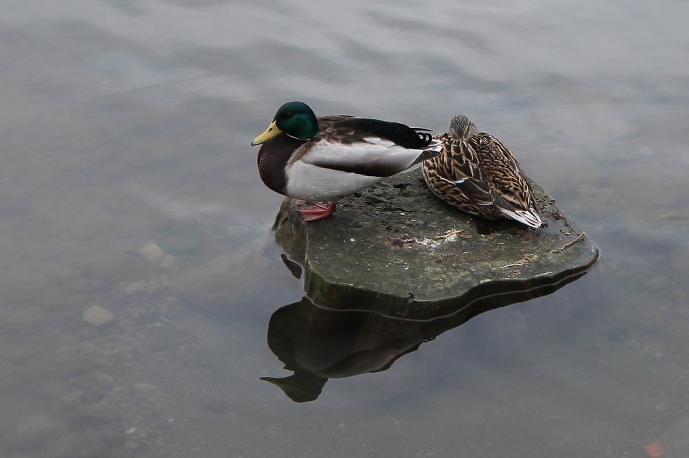 На солнышке