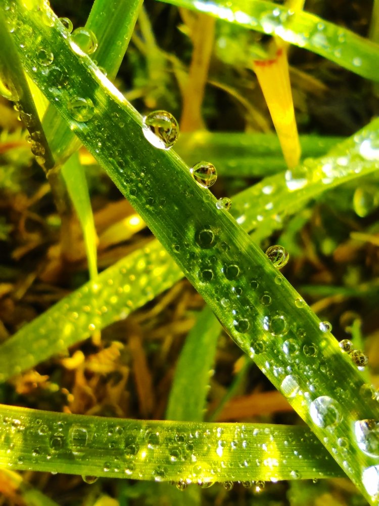 Photograph by Владимир Караман