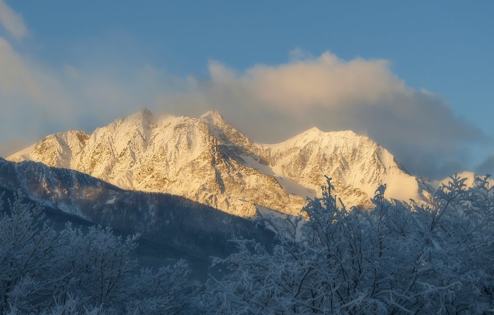 Photograph by Svetlana Rizzo