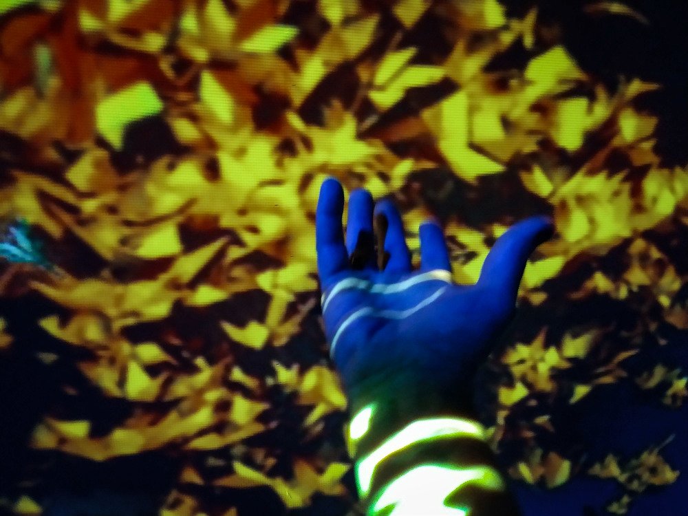 Photograph by Tatiana Barthem