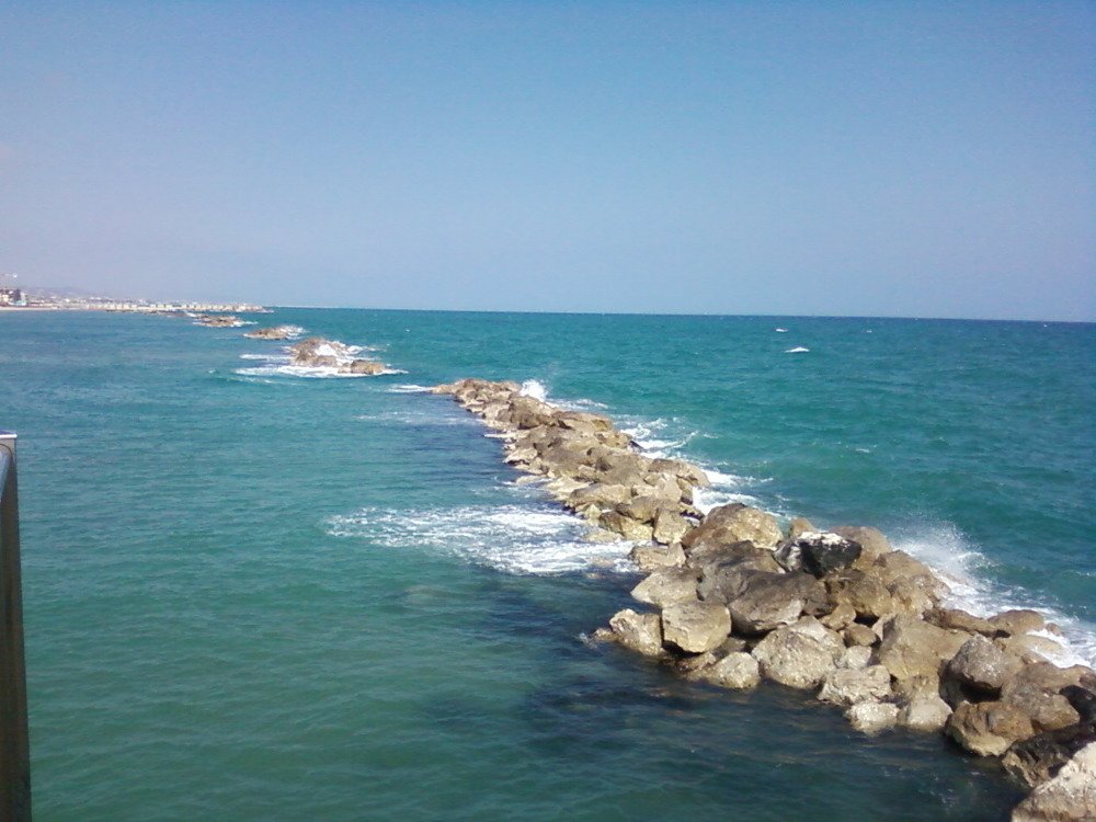 Photograph by ирина токарева