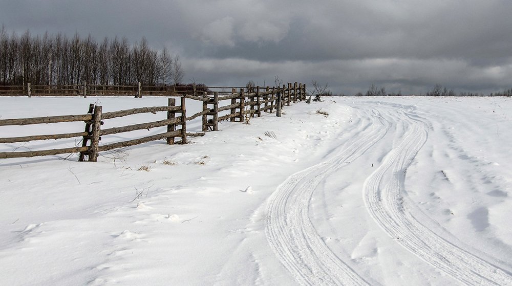 Photograph by Ольга