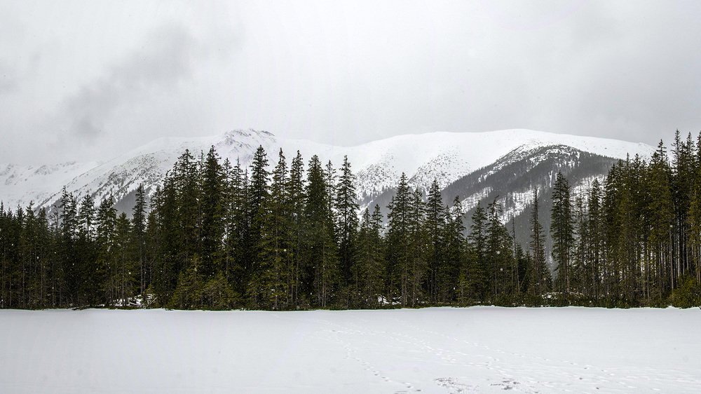 Photograph by Ольга