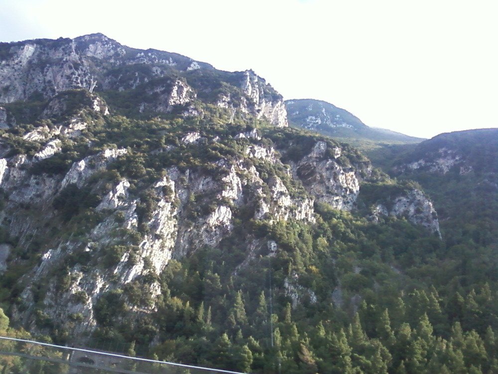 Photograph by ирина токарева