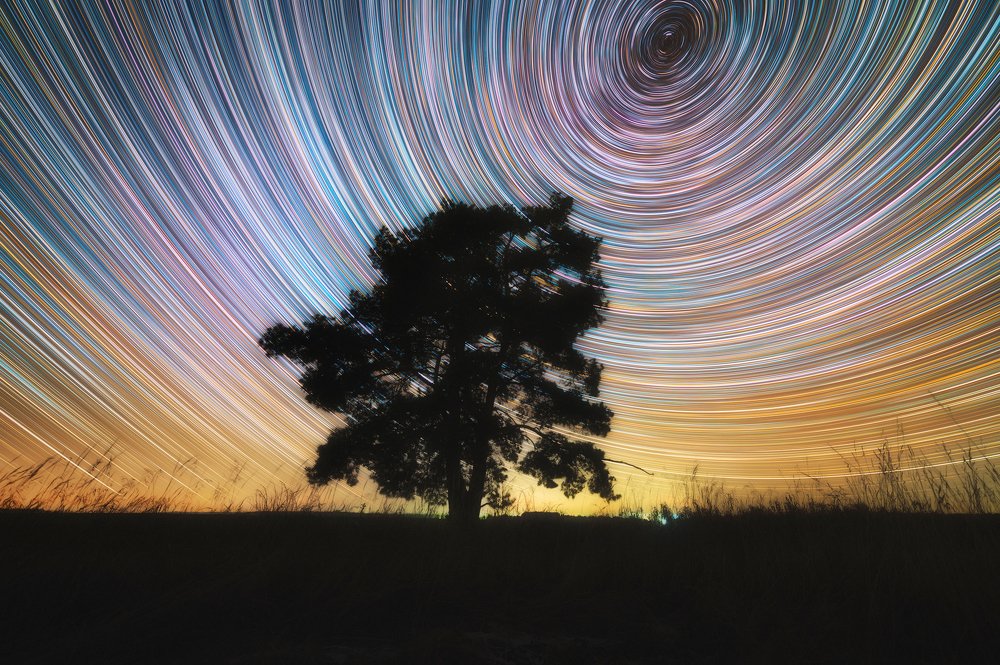 Звездные следы над сосной