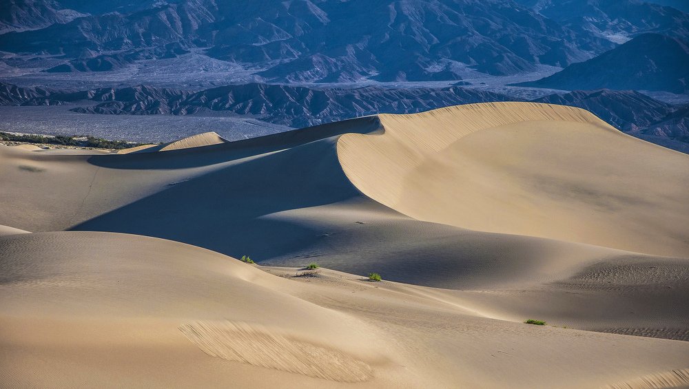 Photograph by Svetlana Rizzo