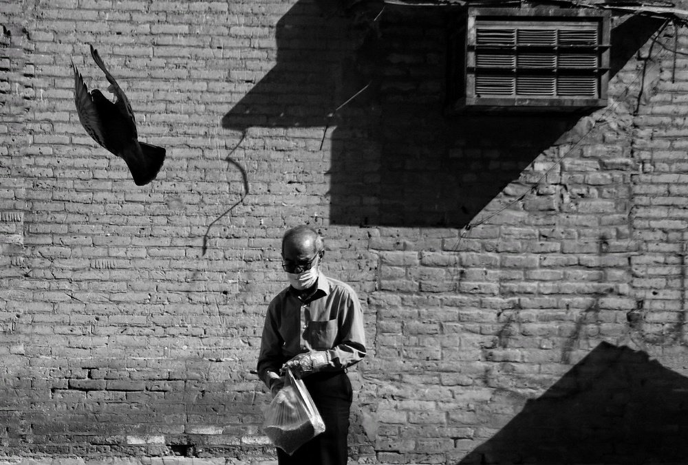 Photograph by Mobina Eidani