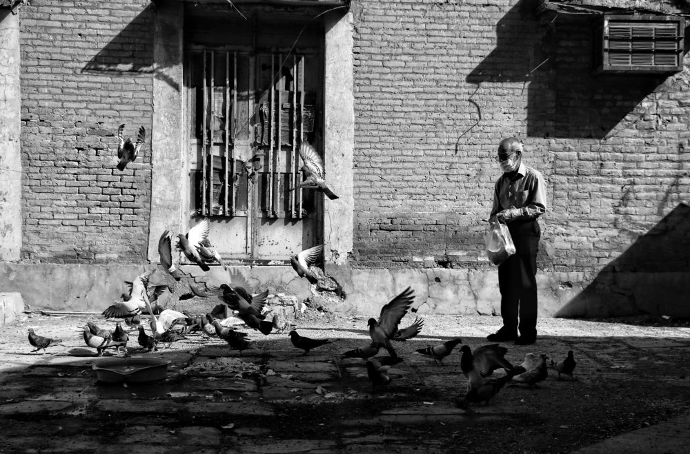 Photograph by Mobina Eidani