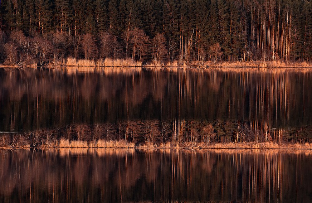 Photograph by Татьяна Бохан