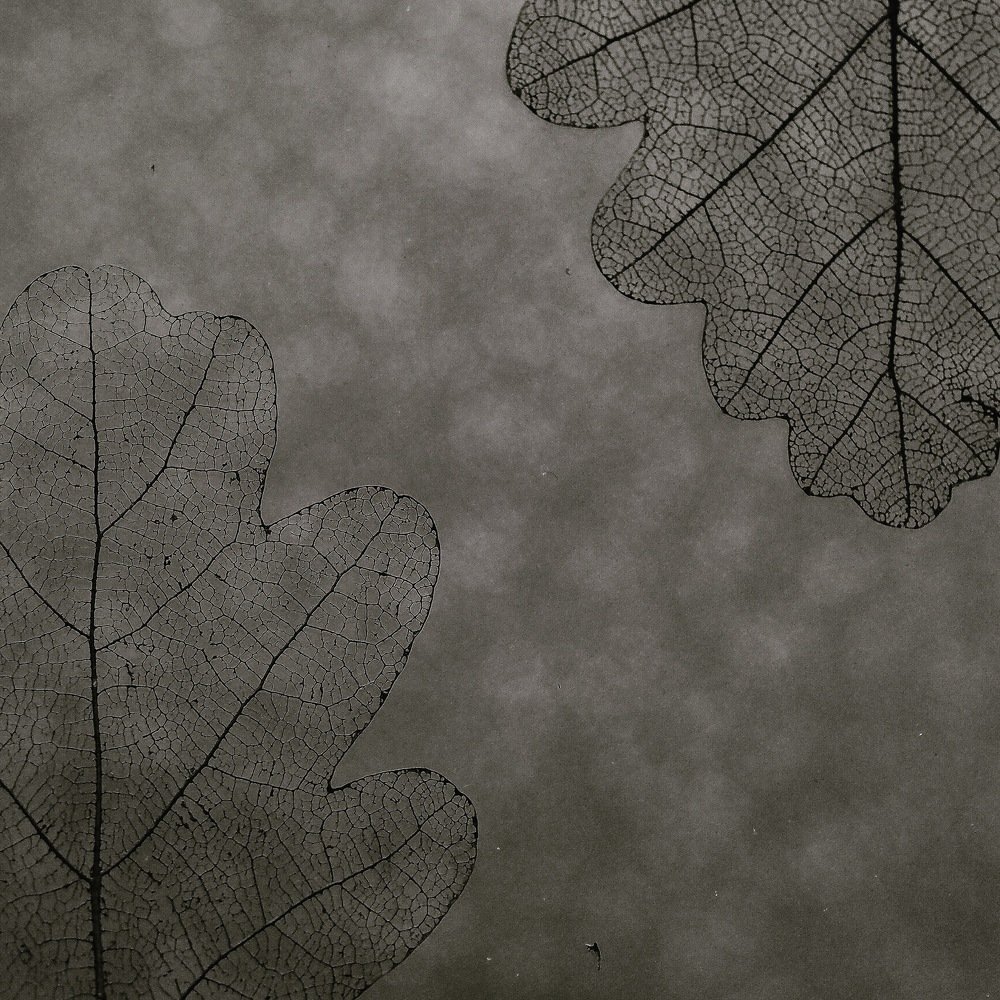 Photograph by Xeniya Kolosova