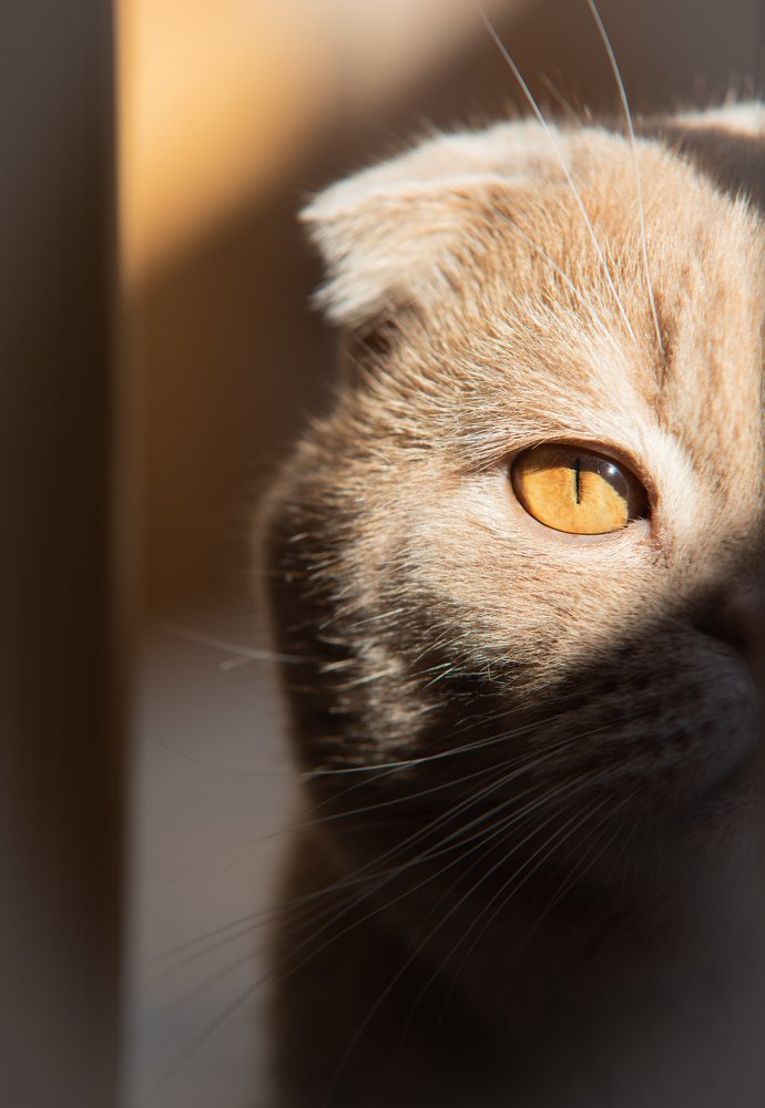 Photograph by Татьяна Бохан