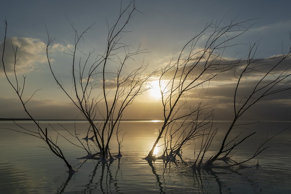 Photograph by klara Neikov