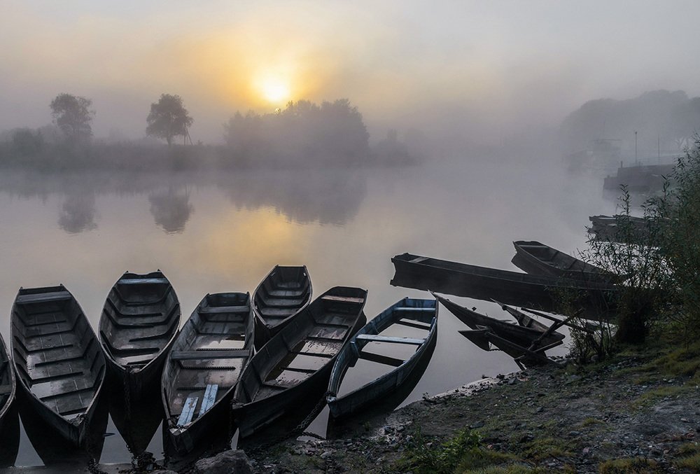 Photograph by Ольга