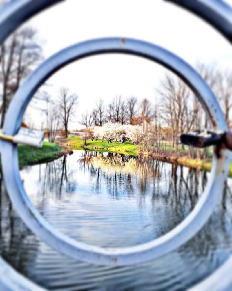 Фокус на весну.